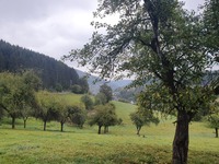 Blick zurück nach Bilstein